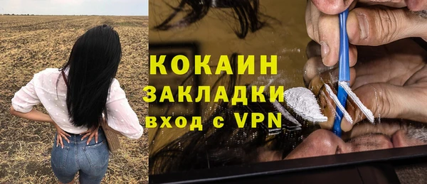 ПСИЛОЦИБИНОВЫЕ ГРИБЫ Гвардейск