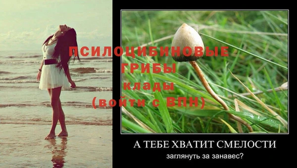 a pvp Гатчина