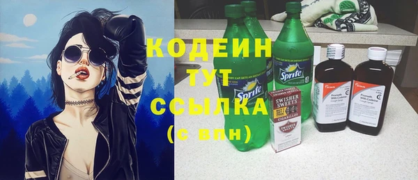 молекула духа Галич